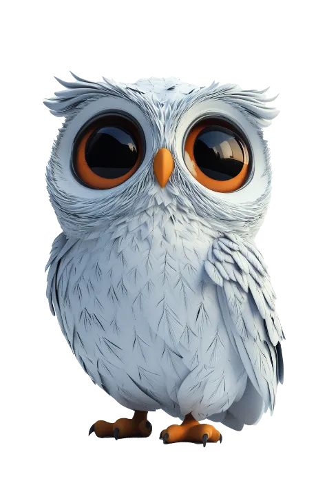 Night Owl Bird