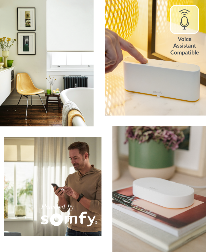 A photo of a variety of Somfy products