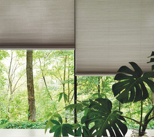 Pleated Blinds