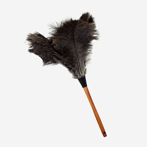 Ostrich Feather Duster