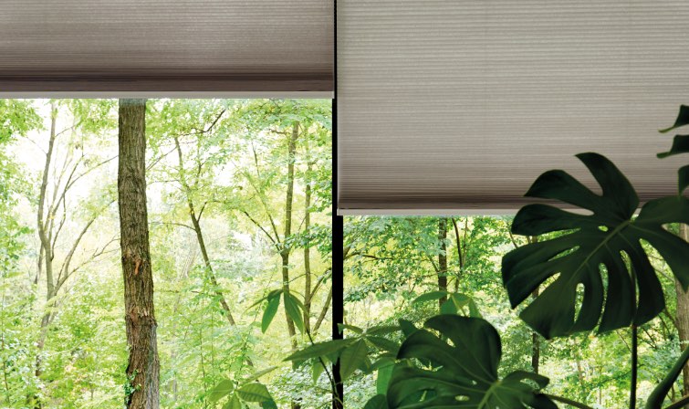 Image of Pleated Blinds