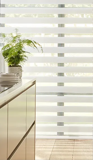 Day & Night Blinds