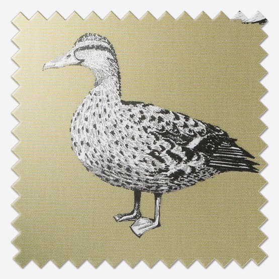 Prestigious Textiles Duck Willow roman