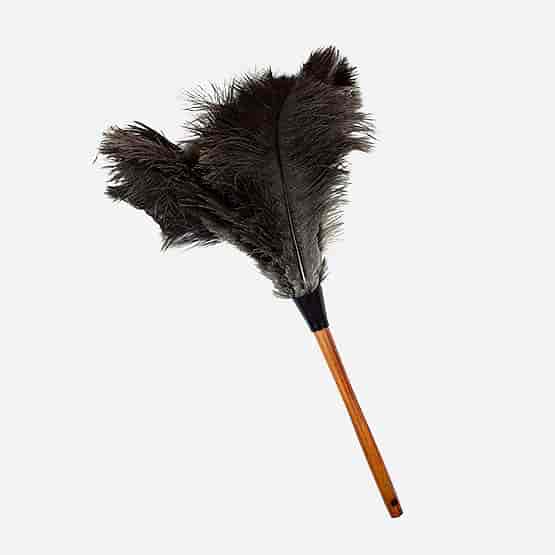 Ostrich Feather Duster