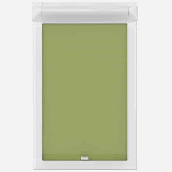 Deluxe Plain Lime