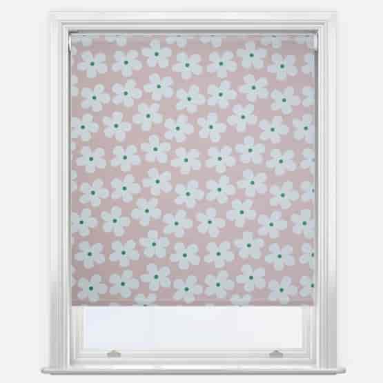 Daisy Pink