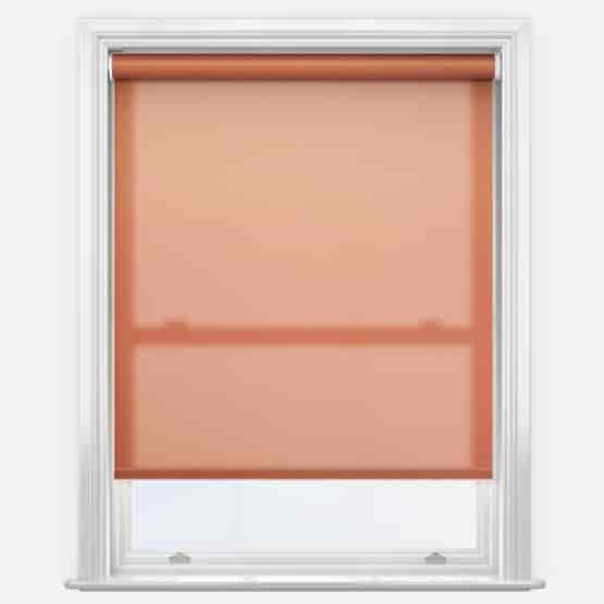 Pop Burnt Orange