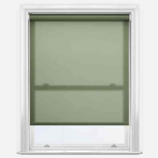 Pop Ivy