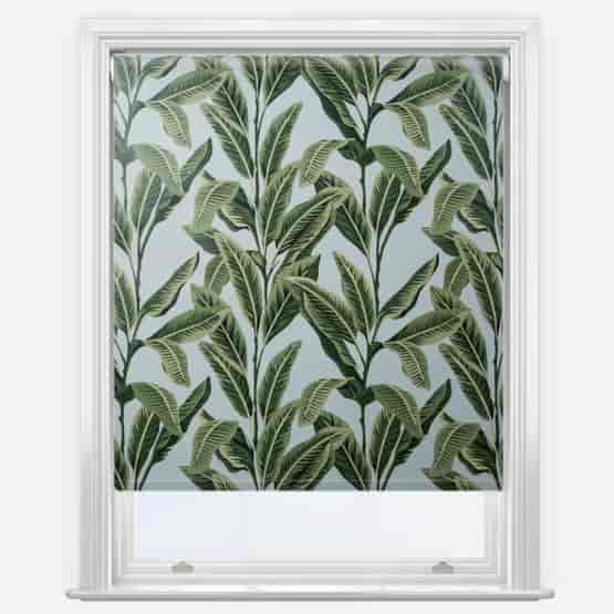 Tropical Palm Aloha