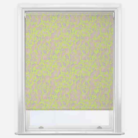 Sonova Studio Moo Mosaic Candy Sorbet