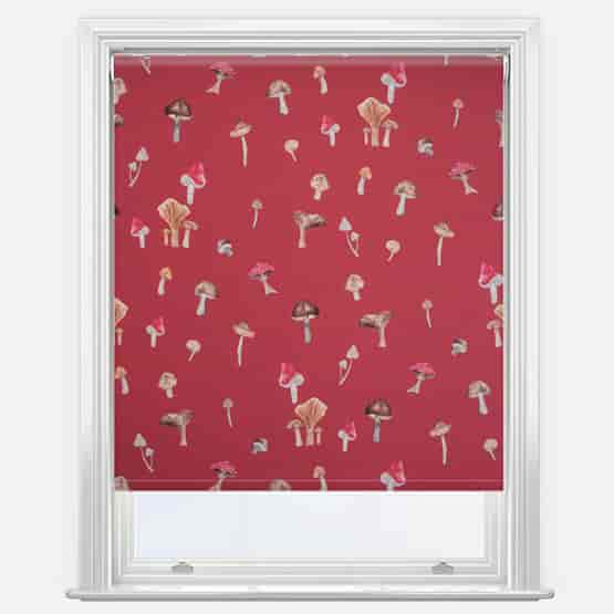 Sonova Studio Mushroom Forage Red
