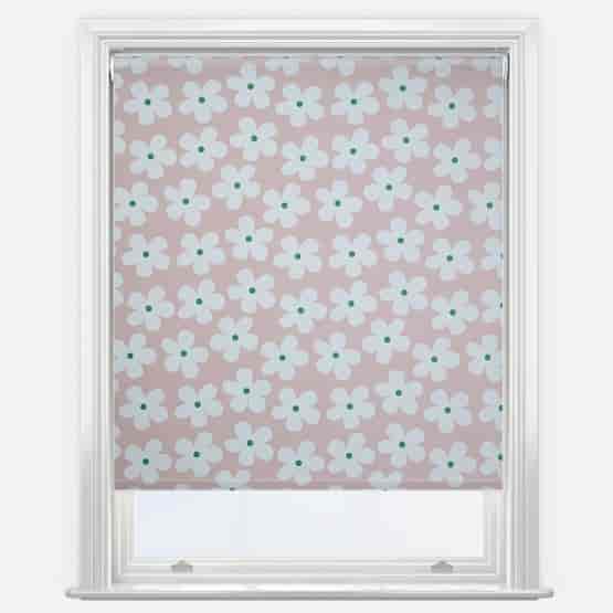 Daisy Pink