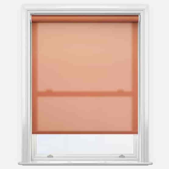 Pop Burnt Orange