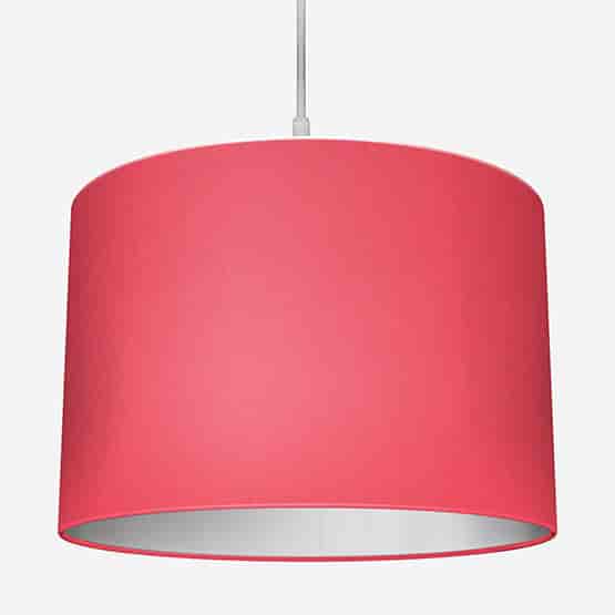 Accent Coral