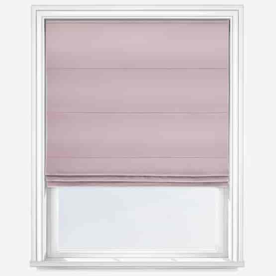 Barcelona Lilac
