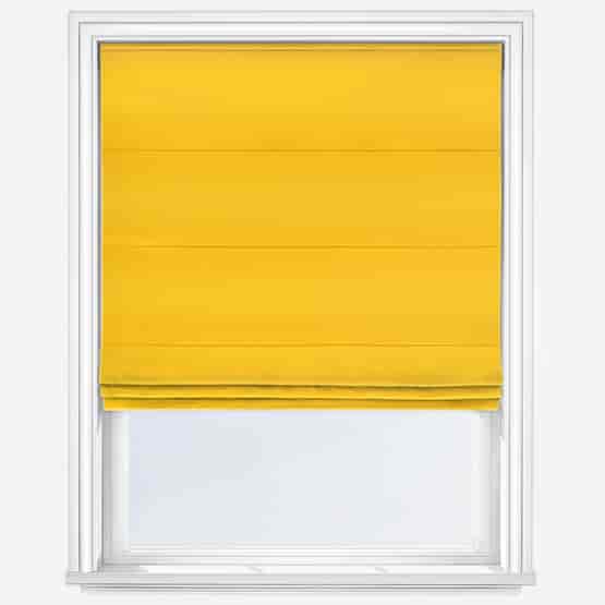 Calla Ochre
