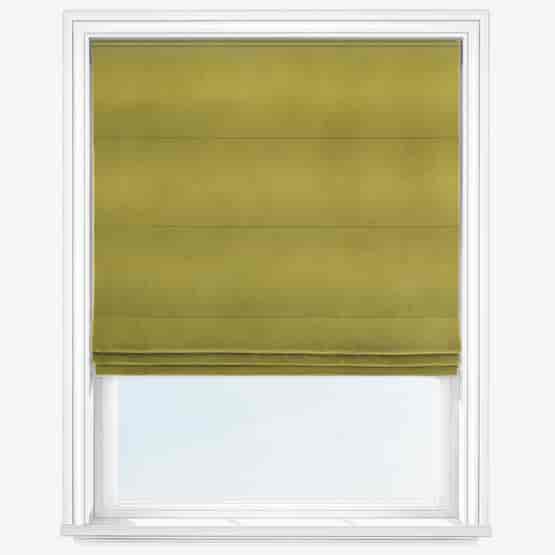 Velora Olive