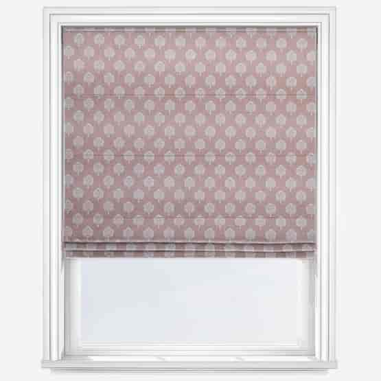 Segoa Blush
