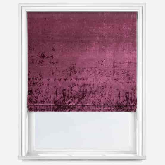 Venice Plum