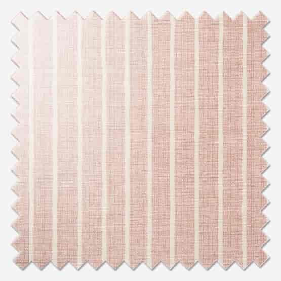 Pencil Stripe Rose