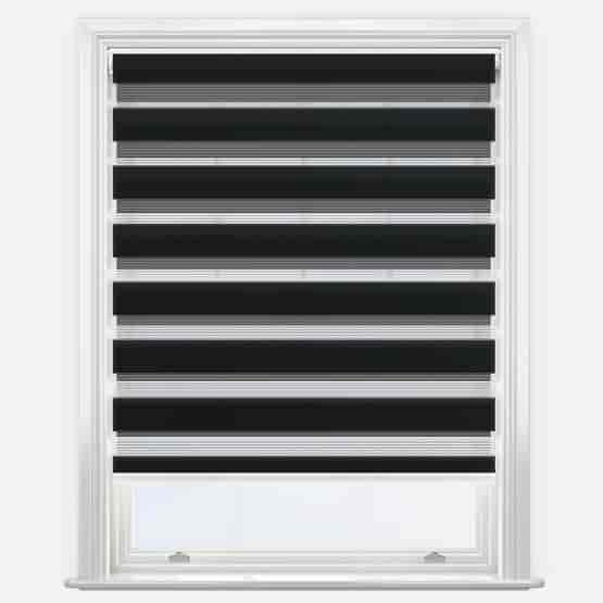 Seasons Black