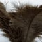 Ostrich Feather Duster