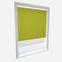 Double Roller AquaLuxe SunVue Lime & Cream