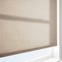 Coulisse Shanting Brown