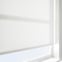 Dapple SPC White