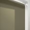 Coulisse Berlin Pine
