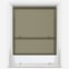 Coulisse Berlin Pine