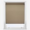 Carnival Blackout Praline
