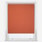 Pop Blackout Burnt Orange