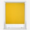 Pop Blackout Saffron