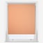 Pop Blackout Terracotta