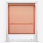 Pop Burnt Orange