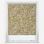 Sonova Studio Enchanted Fox Ochre