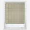 Sonova Studio Gingham Olive