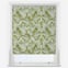 Sonova Studio Nautical Nirvana Algae Green