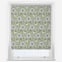 Sonova Studio Nordic Pods Sage