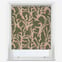 Sonova Studio Nori Thyme