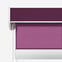 Deluxe Plain Plum