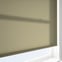 Coulisse Berlin Pine