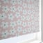 Daisy Pink