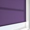 Deluxe Plain Purple