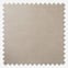 Orissa Stone