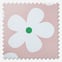 Daisy Pink