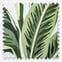 Tropical Palm Aloha