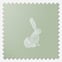 Sonova Studio Hare Sage
