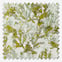 Sonova Studio Nautical Nirvana Algae Green
